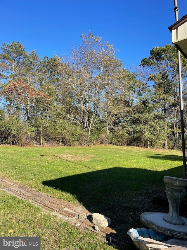 20403 Morgan St SW, Midlothian, MD 21543 - view of yard