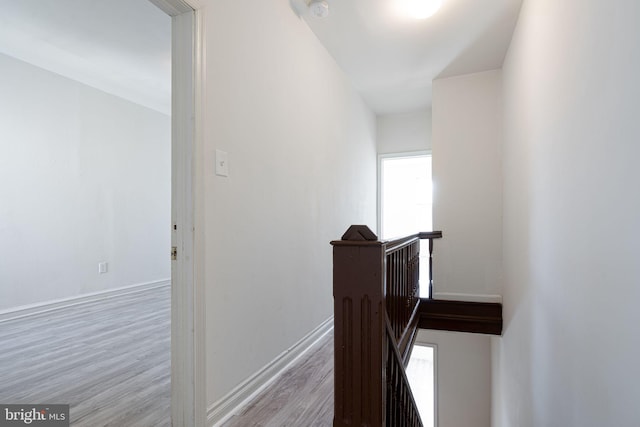 hall featuring light wood-type flooring