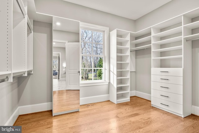 spacious closet featuring light hardwood / wood-style flooring