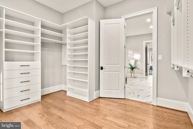 walk in closet with light wood-type flooring