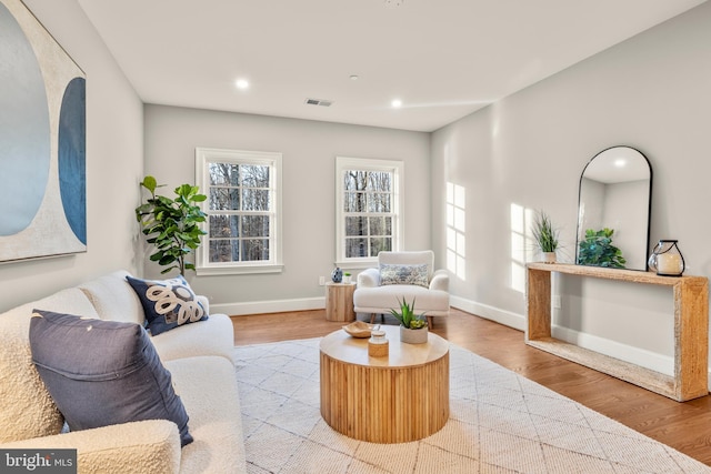 living room featuring light hardwood / wood-style floors