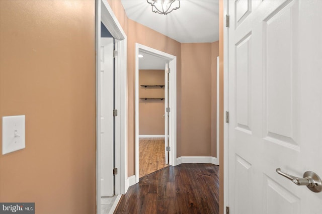 hall with hardwood / wood-style flooring