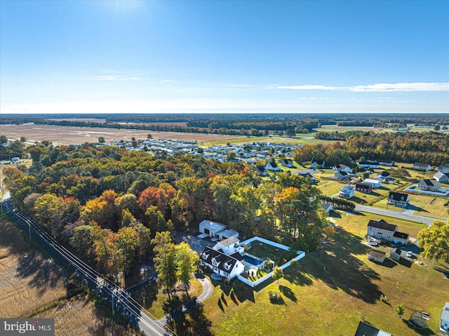 bird's eye view