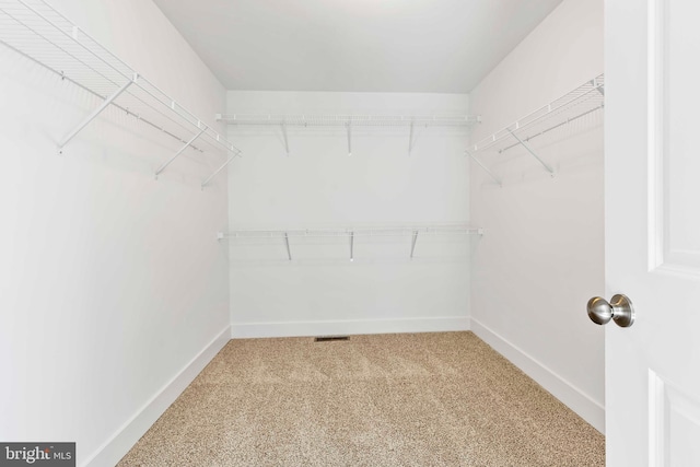 walk in closet with light carpet