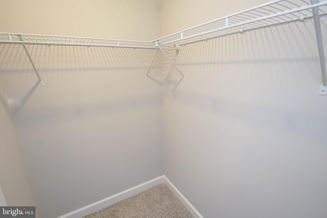 walk in closet with carpet