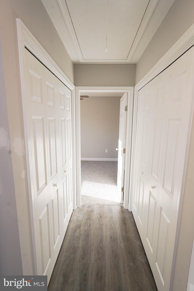 corridor featuring dark hardwood / wood-style flooring