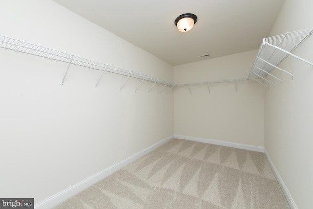 walk in closet with carpet floors