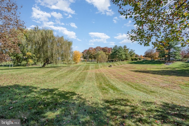 view of yard with a rural view