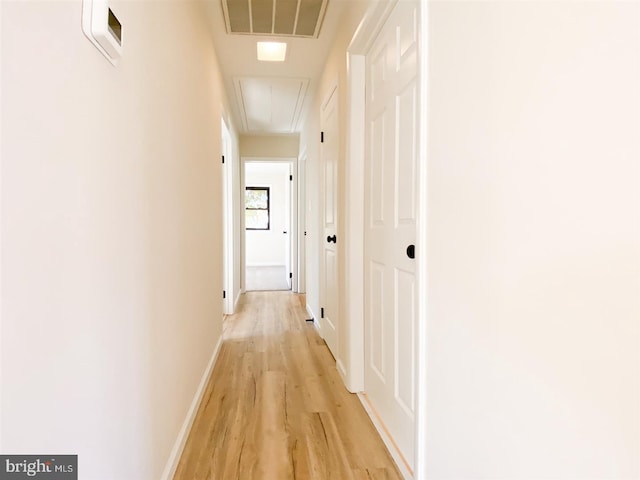 corridor featuring light hardwood / wood-style floors