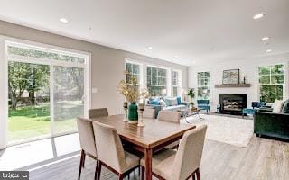 dining area with light hardwood / wood-style floors and plenty of natural light