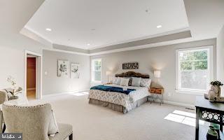 carpeted bedroom with a tray ceiling