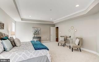 carpeted bedroom with a tray ceiling