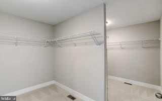 walk in closet featuring light colored carpet