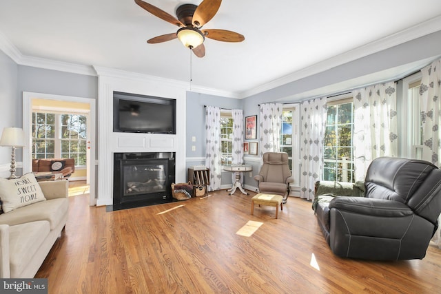 living room featuring ceiling fan, hardwood / wood-style flooring, and ornamental molding