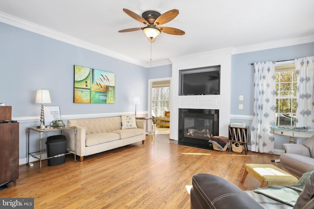 living room with light hardwood / wood-style floors, ornamental molding, and ceiling fan