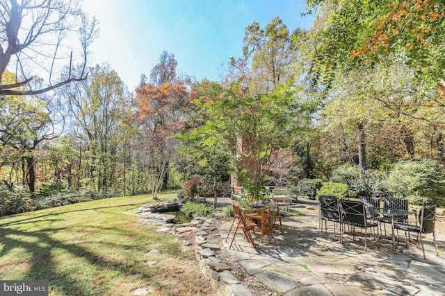 view of yard with a patio