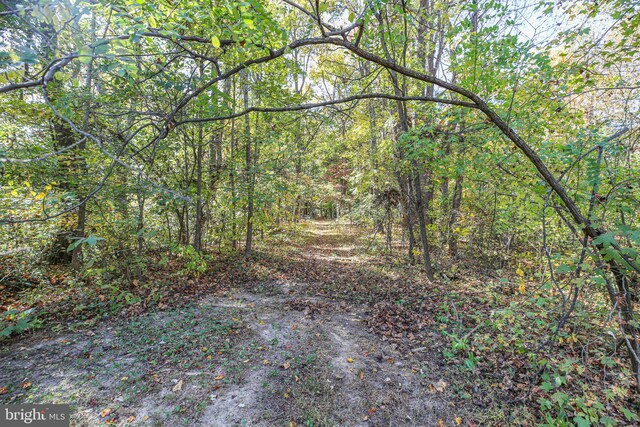 48 Old Creekside Rd, Fredericksburg, VA 22405 - view of landscape with a view of trees