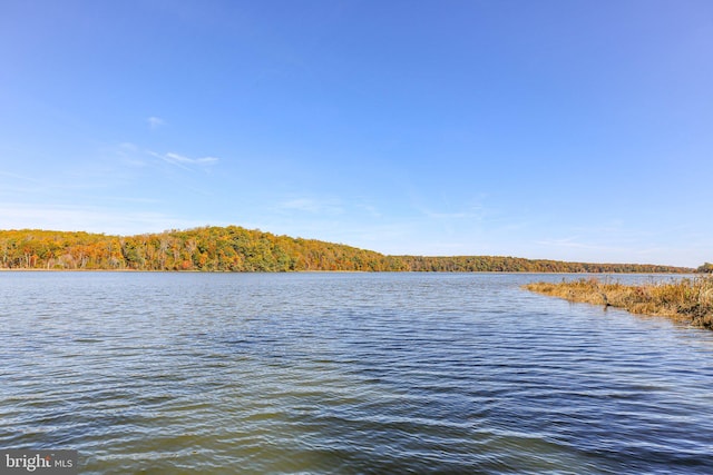 water view