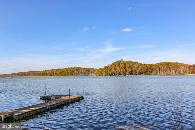 dock area featuring a water view