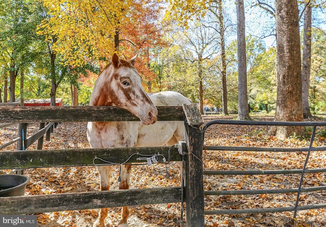 48 Old Creekside Rd, Fredericksburg, VA 22405 - details with fence