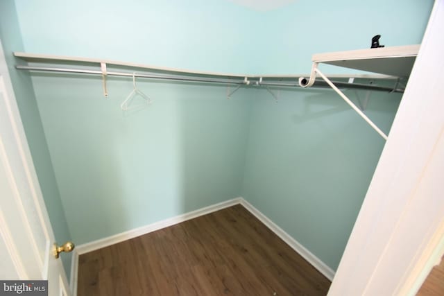 spacious closet featuring wood-type flooring