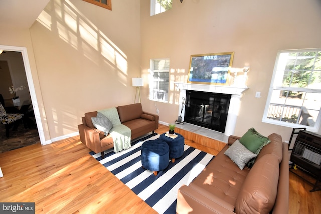 living room featuring wood-type flooring and a high ceiling