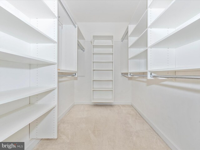 spacious closet with light carpet