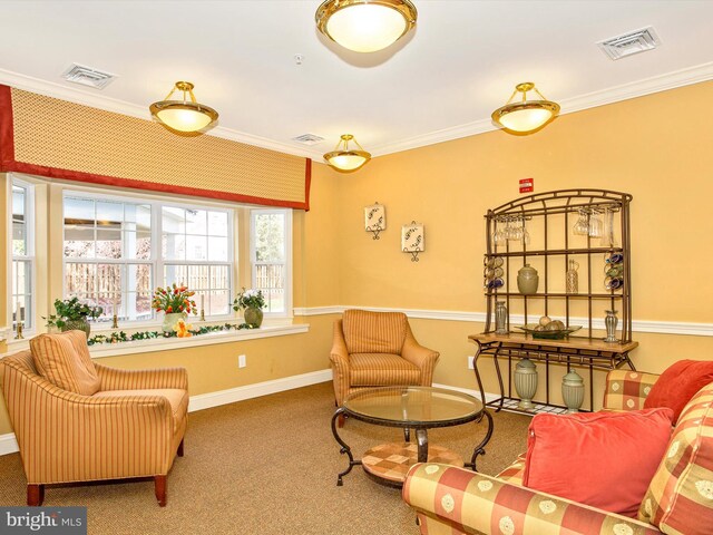 living area with carpet and ornamental molding