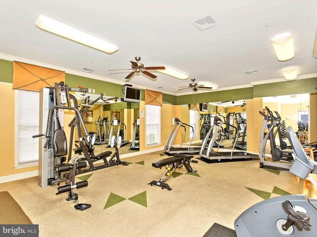 gym with ceiling fan, carpet flooring, and ornamental molding