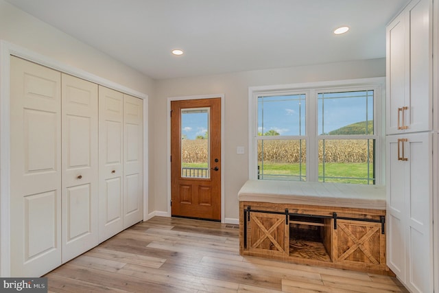 foyer entrance with a healthy amount of sunlight and light hardwood / wood-style flooring