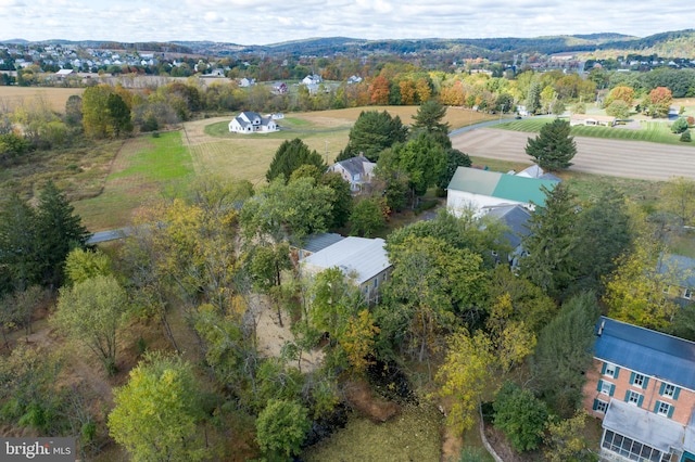 drone / aerial view