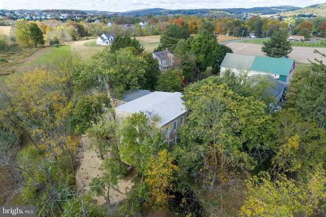 aerial view