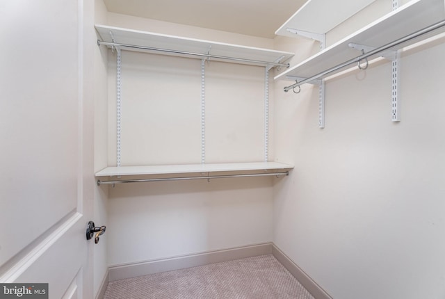 view of spacious closet