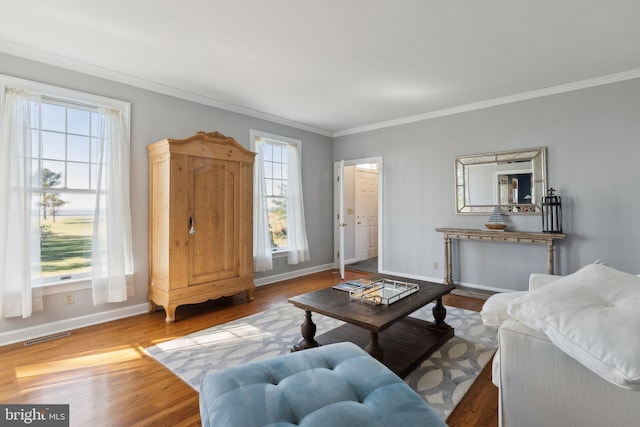 living room featuring hardwood / wood-style floors and crown molding