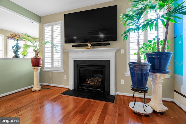 living room with hardwood / wood-style floors and a wealth of natural light