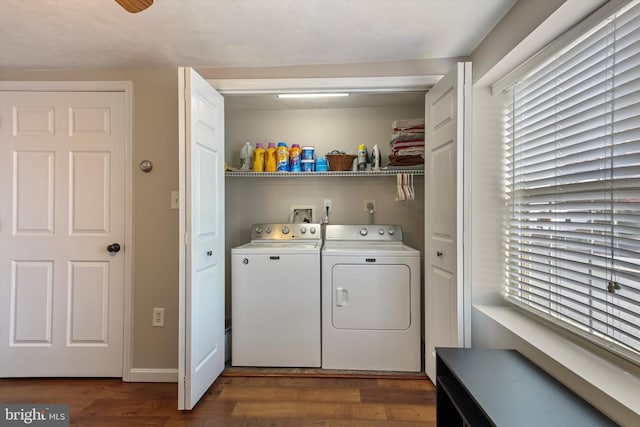 laundry room with a healthy amount of sunlight, separate washer and dryer, and dark hardwood / wood-style flooring