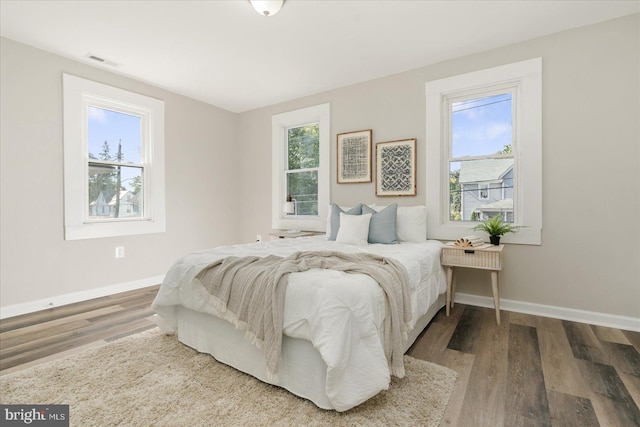 bedroom featuring multiple windows and wood-type flooring