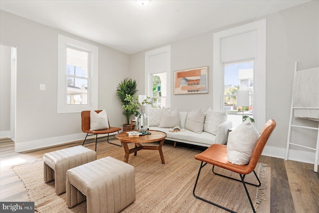 living room featuring light hardwood / wood-style flooring and a healthy amount of sunlight