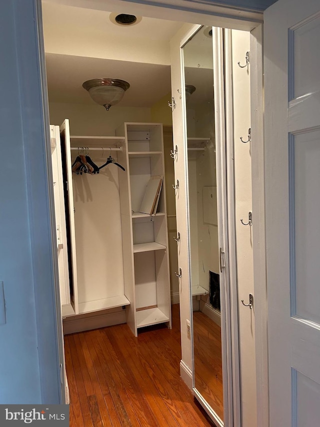 view of closet