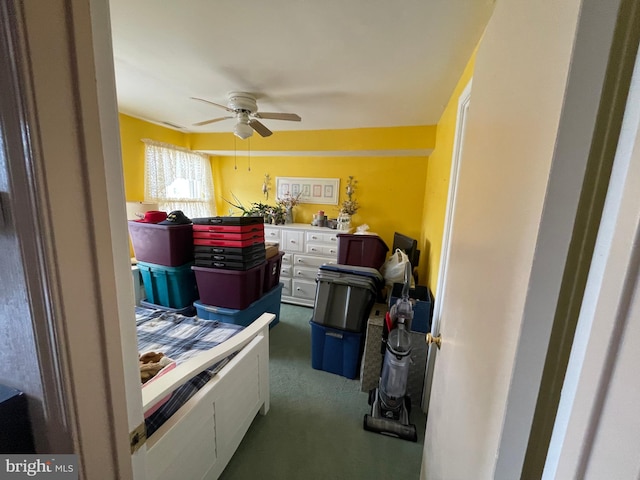 storage area with ceiling fan