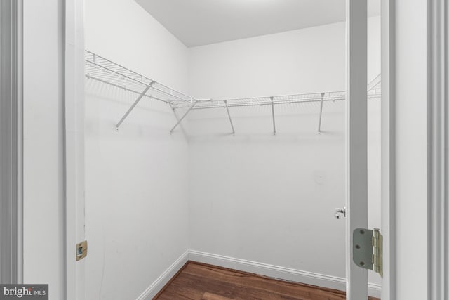 walk in closet with dark wood finished floors