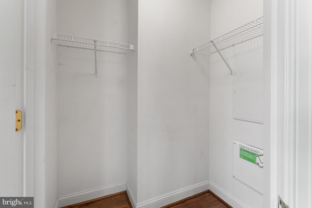 walk in closet with dark wood-style flooring