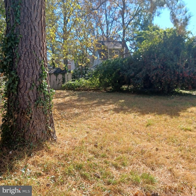5630 8th St N, Arlington, VA 22205 - view of green lawn