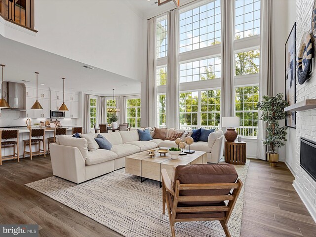 living room featuring a towering ceiling, dark hardwood / wood-style flooring, and plenty of natural light