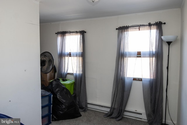 miscellaneous room featuring carpet floors and plenty of natural light