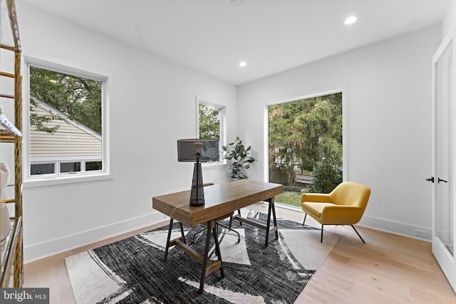 office area featuring light hardwood / wood-style floors and a wealth of natural light