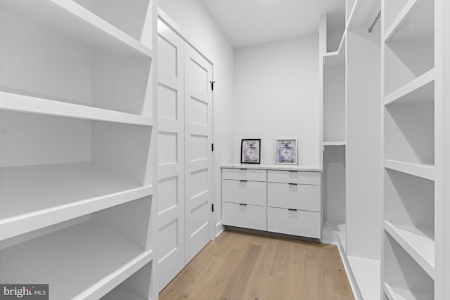 spacious closet with light wood-type flooring