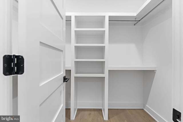 walk in closet with hardwood / wood-style flooring