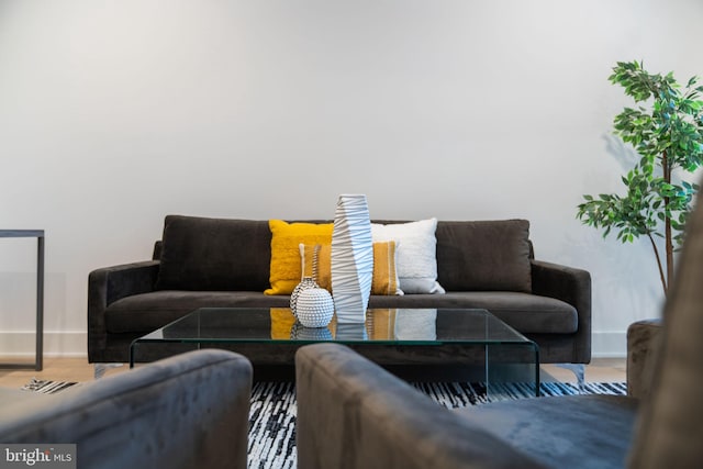 living room featuring hardwood / wood-style flooring