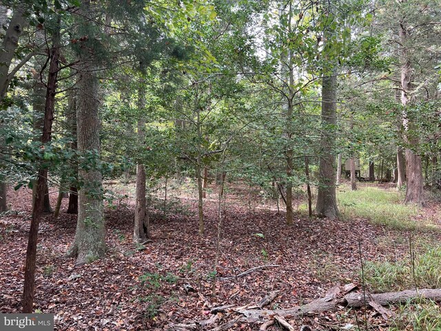 162-164 Powell Rd, Woodbine, NJ 08270